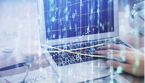 計算機(jī)信息技術(shù)證辦理所需資料與考試內(nèi)容詳解